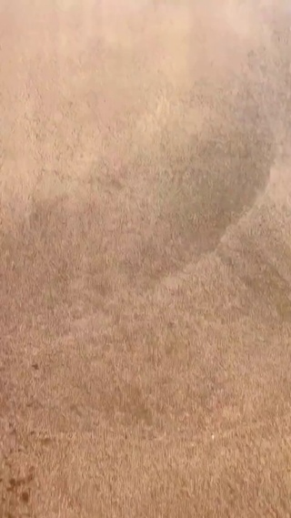 不要慌 不要慌 风雨过后才有彩虹