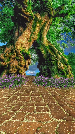 熬得住无人问津的寂寞，才配拥有诗和远方，陪你到最后的，一直是那个了不起的自己。