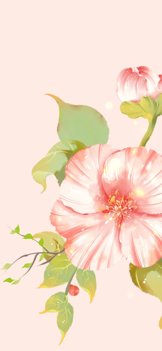 盛开的花