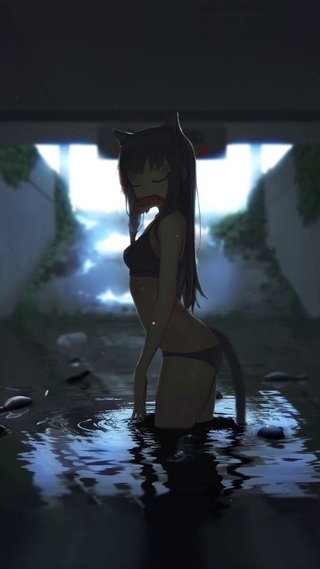 家养猫下乡体验生活