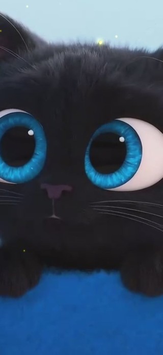 可爱小黑猫