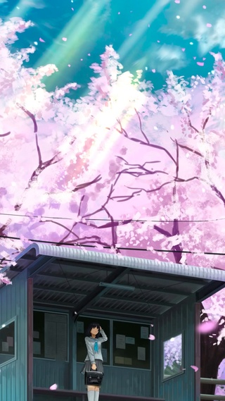 樱花站台
