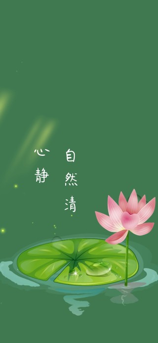 清新荷花