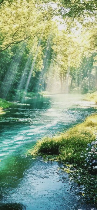 绿色护眼AI森林氧吧