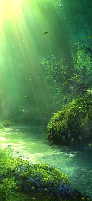 森林溪流阳光