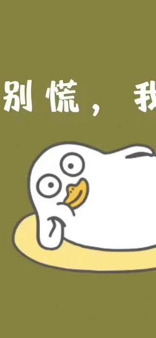 别慌   我在