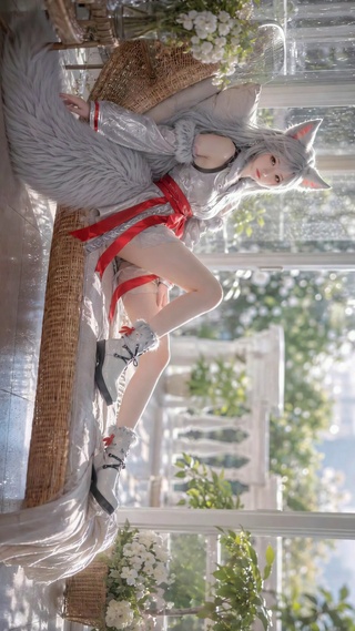 阳光窗边银发狐耳美少女银月