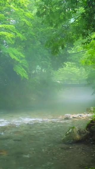 雾气护眼绿林流水