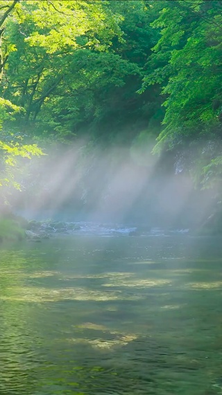 清晨阳光雾气流水