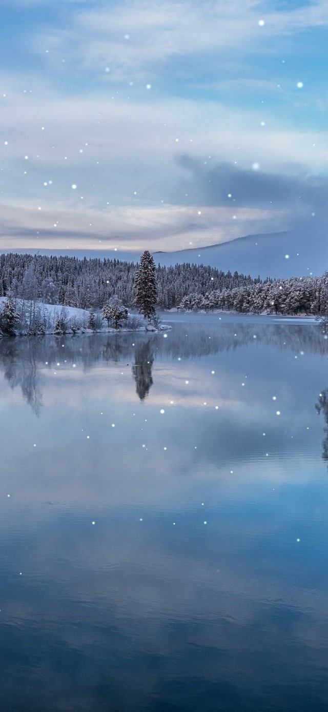 冬季雪景 风景手机动态壁纸 风景手机壁纸下载 元气壁纸