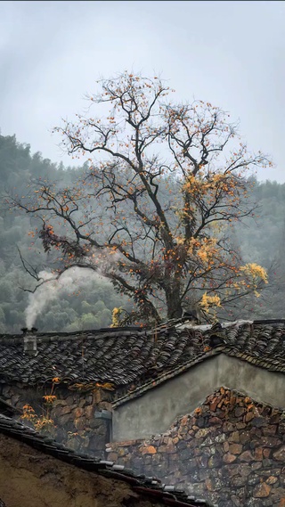 乡村自然美景