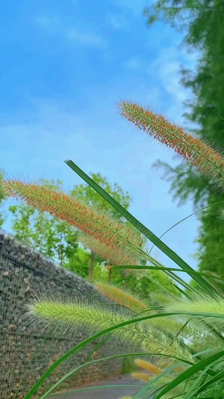 才感盛夏，忽而立秋