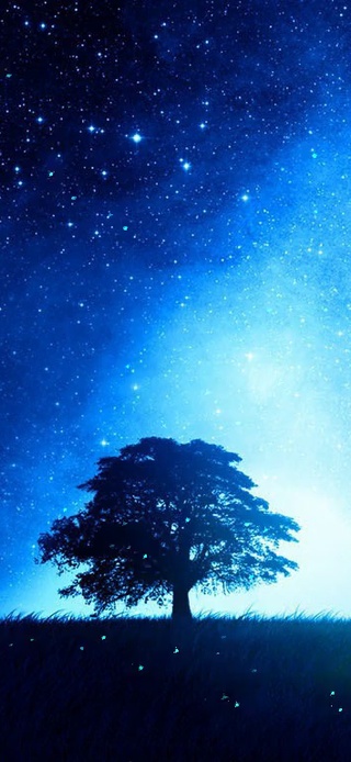 美丽星空