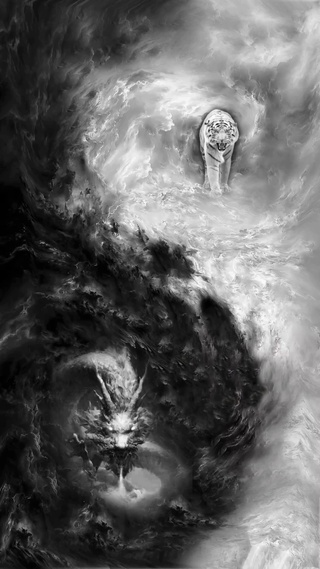 2022 祥龙福虎 大吉大利