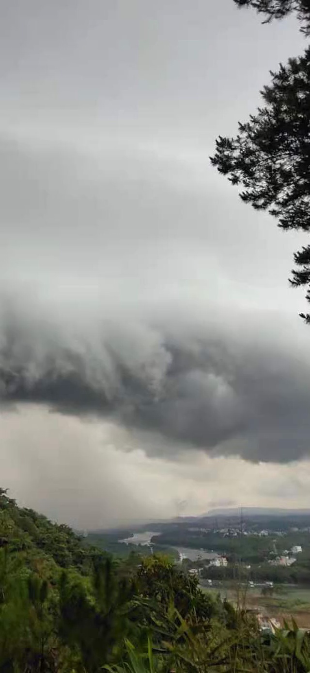 风雨欲来