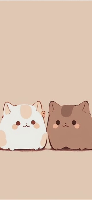 猫猫球