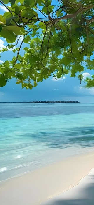 大海沙滩