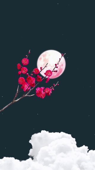 梅花香自苦寒来