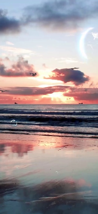 海滩与海鸥