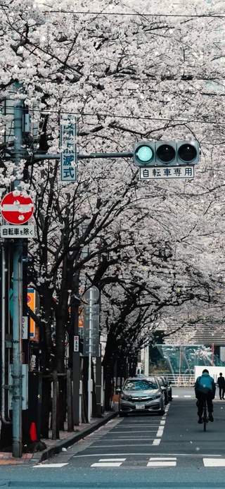 唯美街道