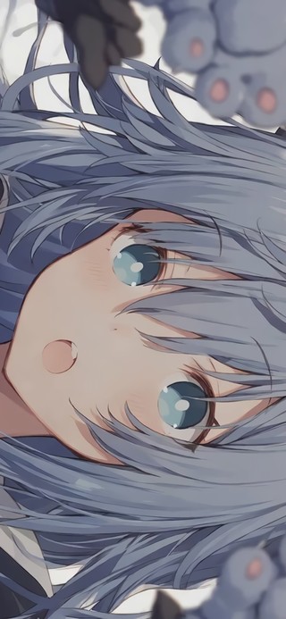 猫卡卡