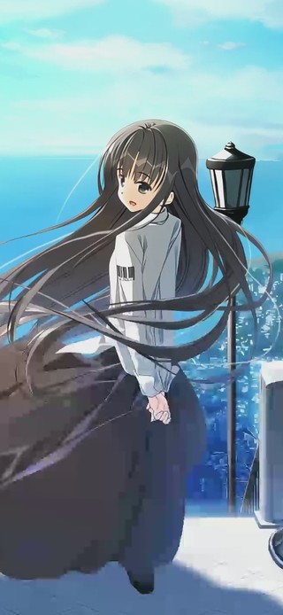 樱之诗-在樱花之森上飞舞