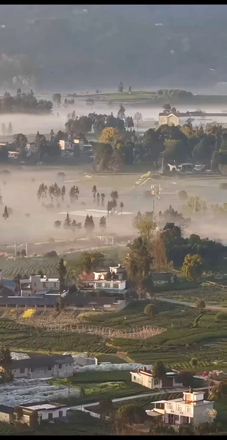 春天的三月晨雾、茶田、高铁同框，一镜收尽