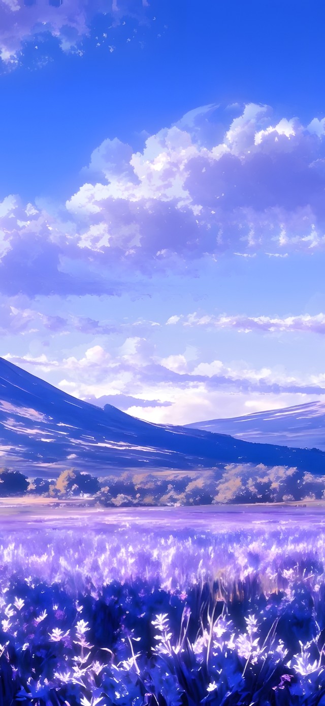 唯美薰衣草花海