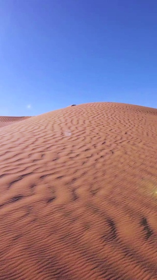 4K 高清 撒哈拉沙漠景观