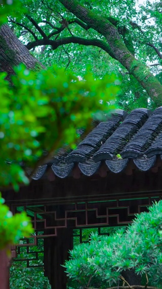 放松护眼庭院屋檐雨