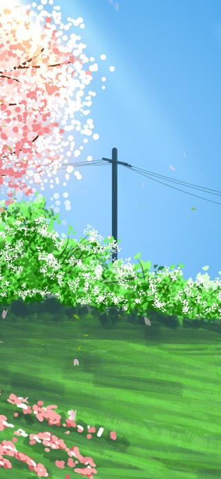 蓝天草地樱花