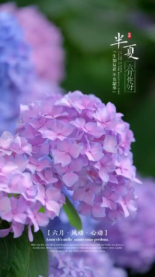 六月，风动，心动