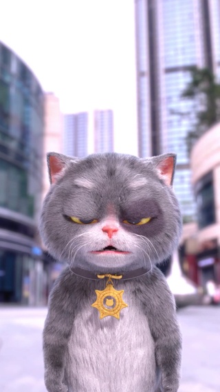 斑布猫-WAKAWAKA