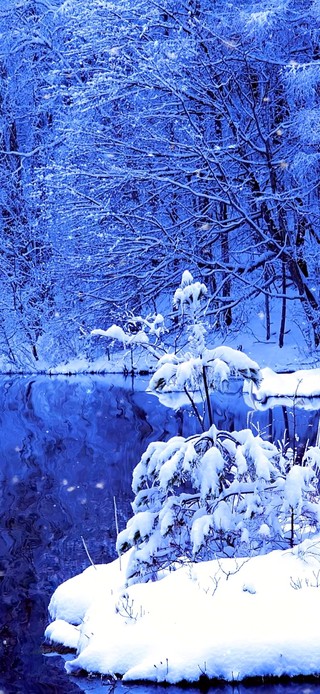 4k治愈银装素裹雪景