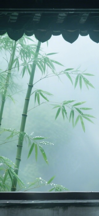 雨后的青竹小轩