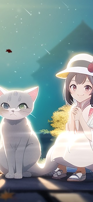 猫与女孩
