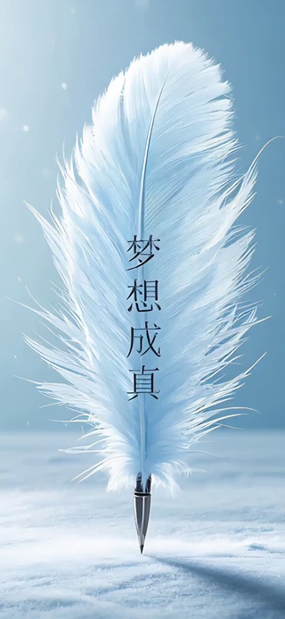 梦想成真