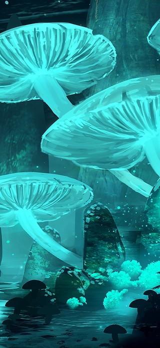 唯美梦幻蘑菇森林