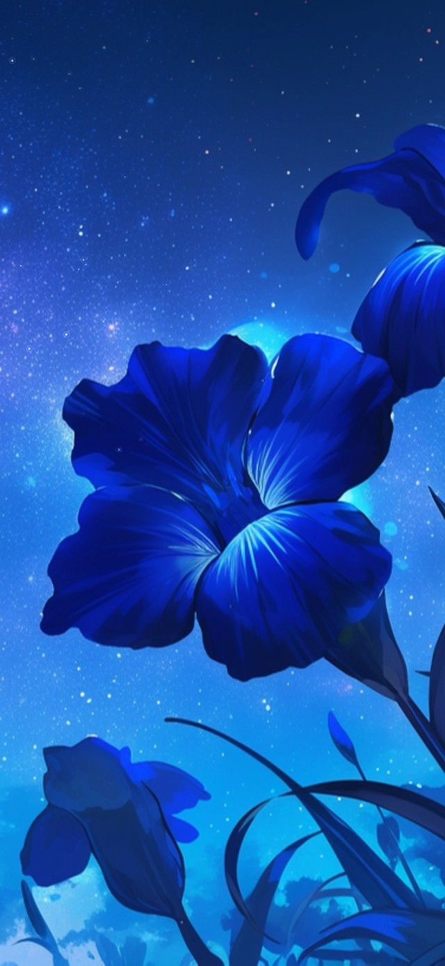 但行前路，不负韶华！