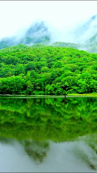 4K治愈护眼山水