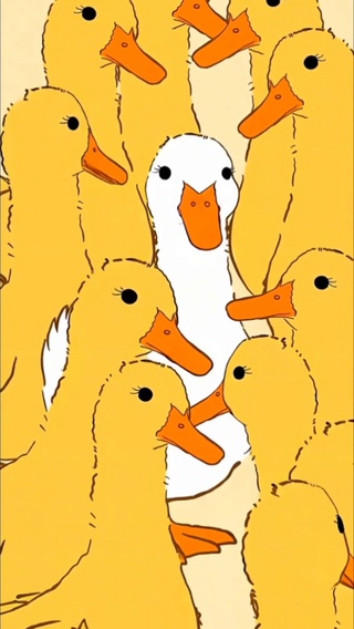 鸭子