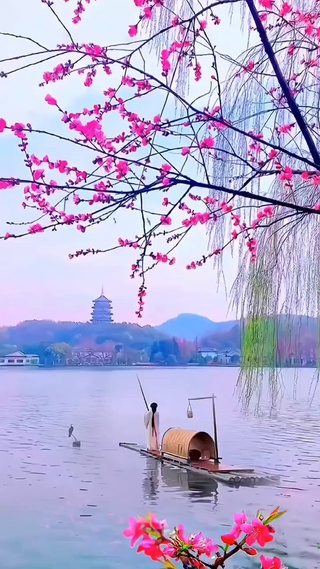 西湖美景