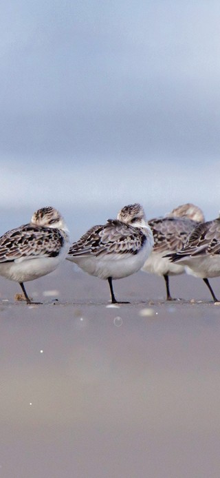 一家人整整齐齐