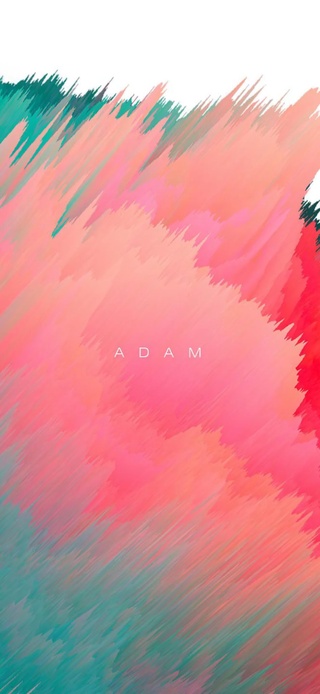 ADAM | 炫彩