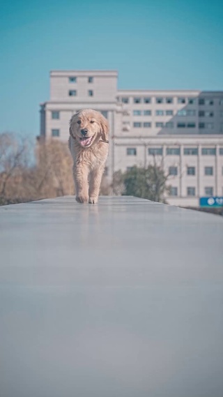 暖阳下的奔跑
