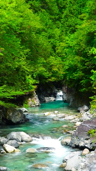 夏日绿林山涧