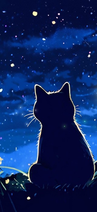 星空下的小黑猫