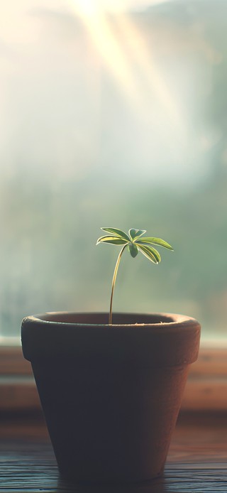 晨光里的小确幸