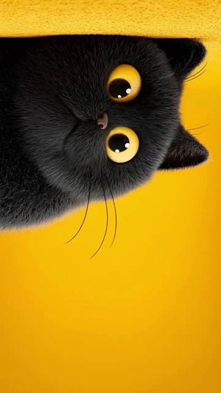 玄猫 4k