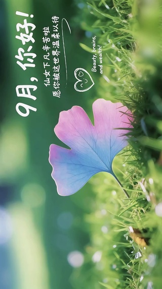 9月壁纸-仙女叶